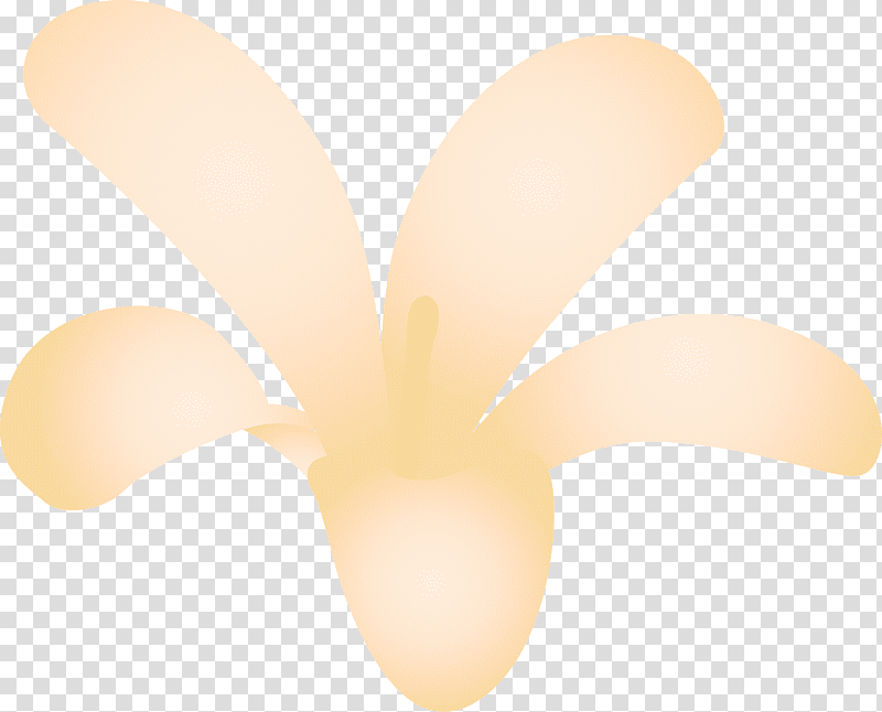 jasmine jasmine flower, Lighting, Closeup transparent background PNG clipart