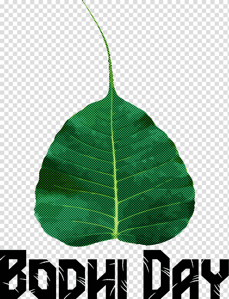 Bodhi Day, Leaf, Meter, Science, Biology, Plants, Plant Structure transparent background PNG clipart