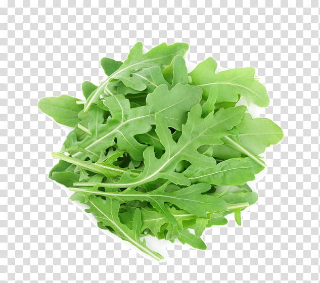 leaf plant leaf vegetable vegetable arugula, Food, Flower, Grass, Herb, Lettuce transparent background PNG clipart