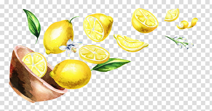 yellow lemon fruit citrus natural foods, Sweet Lemon, Plant, Persian Lime, Meyer Lemon, Citron, Yuzu transparent background PNG clipart