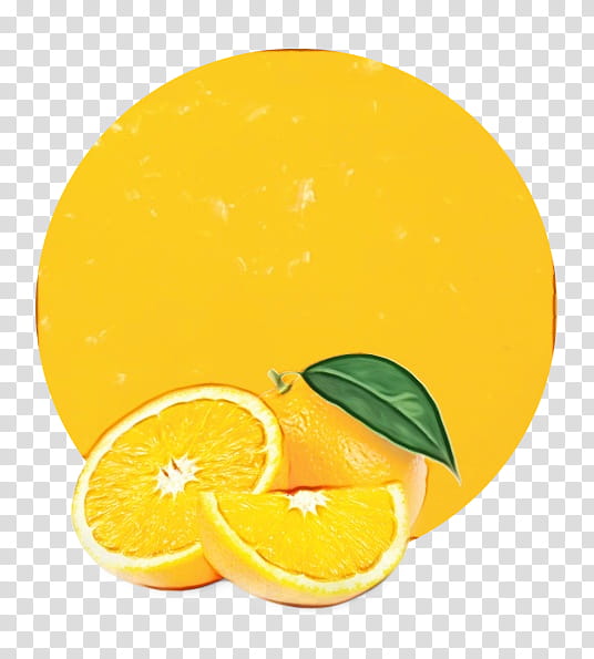 Orange, Watercolor, Paint, Wet Ink, Lemon, Citrus, Yellow, Meyer Lemon transparent background PNG clipart