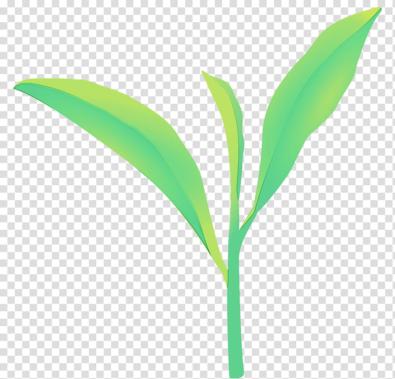 leaf green plant flower lily of the valley, Tea Leaves, Spring
, Watercolor, Paint, Wet Ink, Grass, Plant Stem transparent background PNG clipart