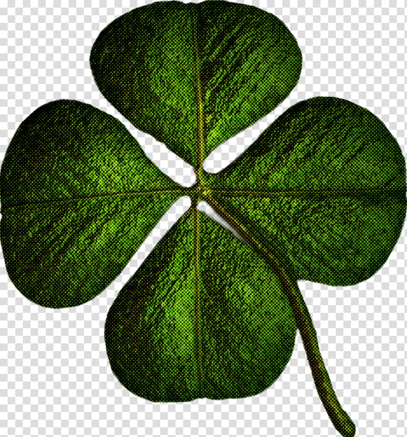 Saint Patrick Saint Patrick's Day Paddy's Day, World Thinking Day, International Womens Day, World Water Day, World Down Syndrome Day, Earth Hour, Red Nose Day, World Tb Day transparent background PNG clipart