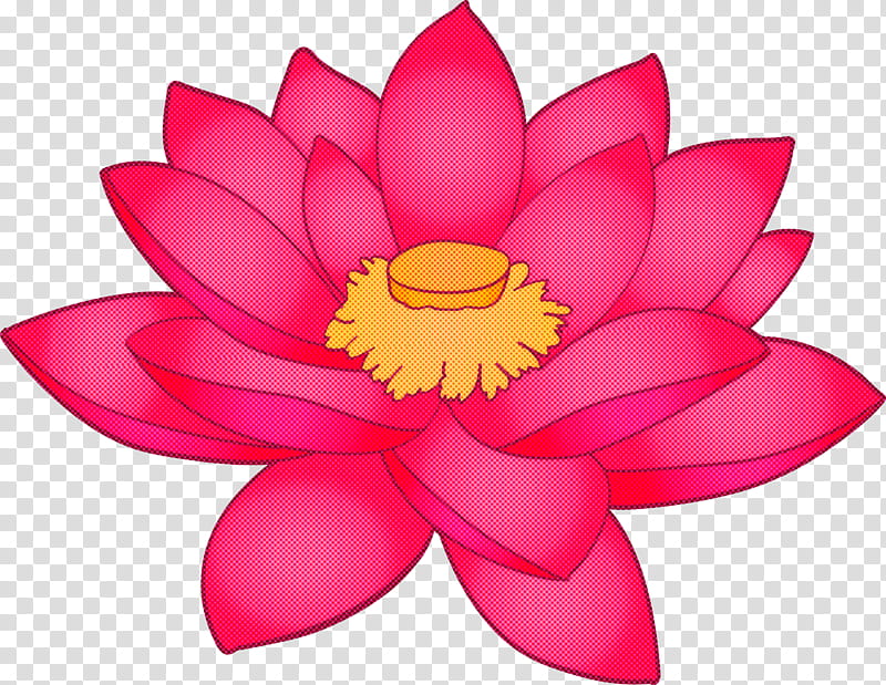 lotus flower, Petal, Pink, Aquatic Plant, Lotus Family, Sacred Lotus, Yellow, Water Lily transparent background PNG clipart
