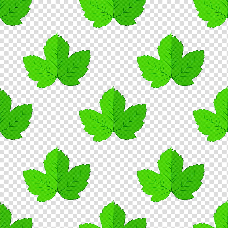 Floral design, Leaf, Plant Stem, Branch, Petal, Clover, Flower, Peduncle transparent background PNG clipart